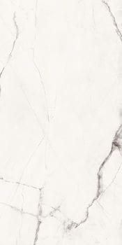 b0b7fa64791eaea41c91c425c68417a6