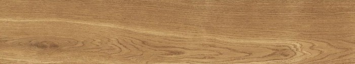 f677dadfa48a0b10ef29a97e1e9478b5