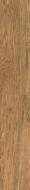 2c39c30d3bed752a644fc3072d7001a9