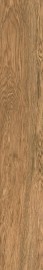 2c39c30d3bed752a644fc3072d7001a9