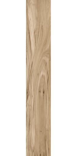 LIGHT BROWN.png