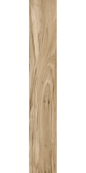 LIGHT BROWN.png