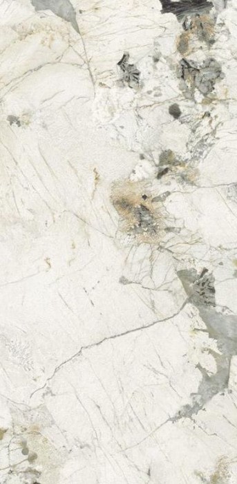 786baec8e8cc14e40e063825e6a1cec4