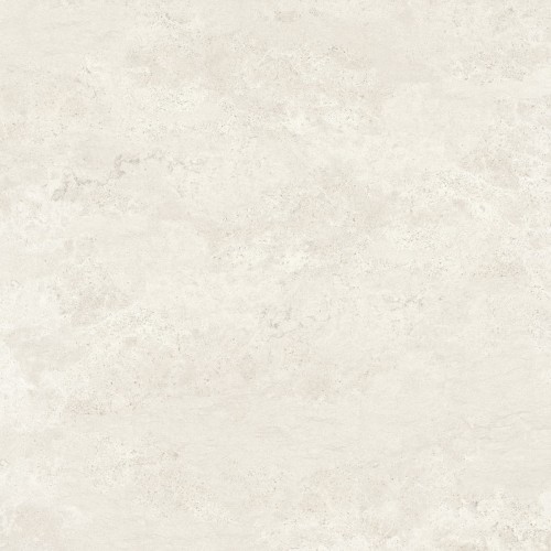 white2.jpg