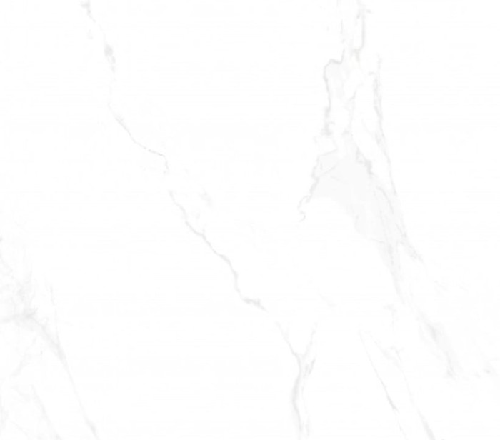 MARSHALLWHITE.jpg