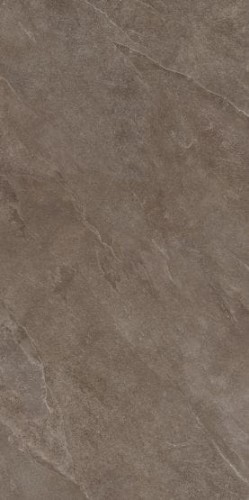 ashbrown60x120.jpg