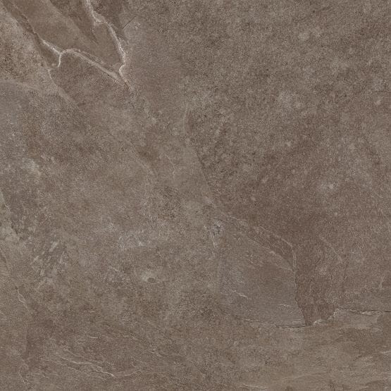 ashbrown60.jpg