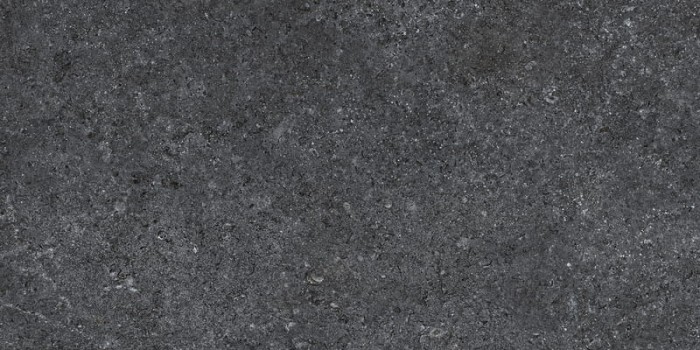 greyprost.jpg