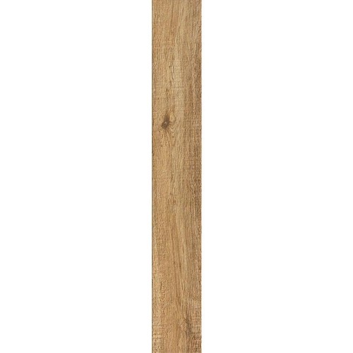 n1.jpg