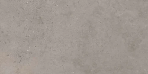 20.webp
