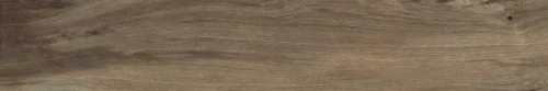 28.webp