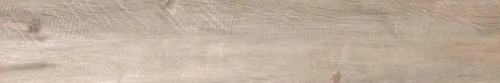 42.webp