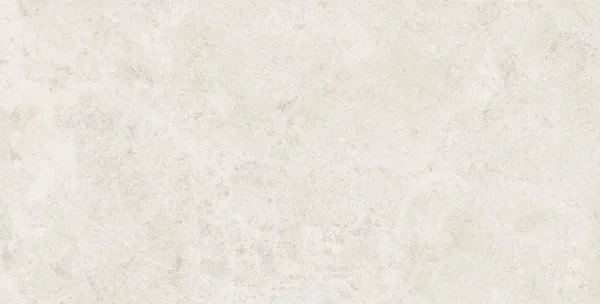 65.webp