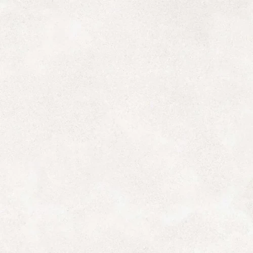 80.webp