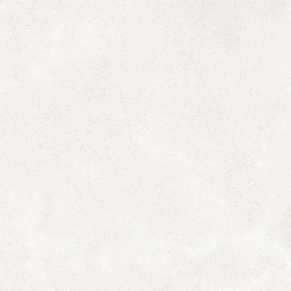 80.webp