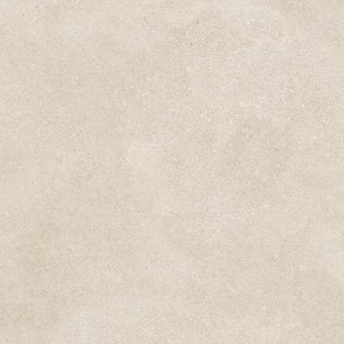 83.webp