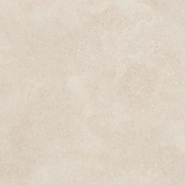 83.webp