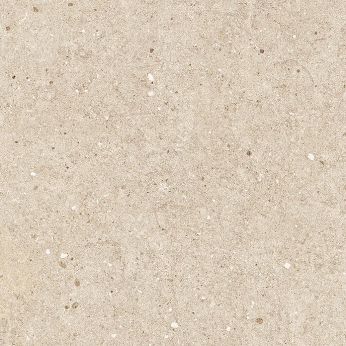 14.webp