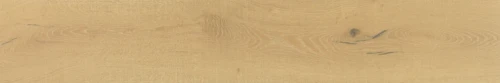 31.webp