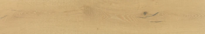 31.webp