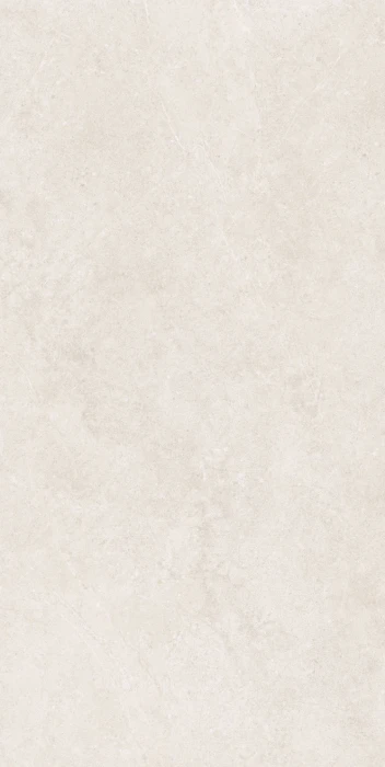 BONE.JPG