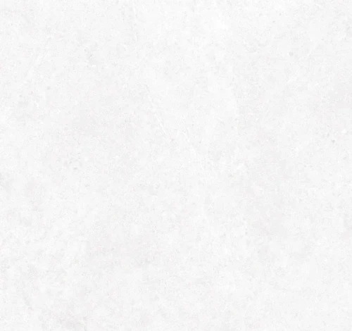 ARCTIC.JPG
