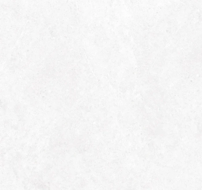 ARCTIC.JPG