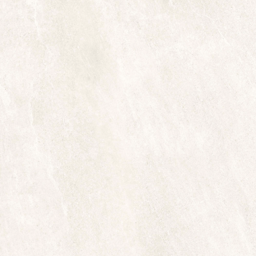 SCALLAIVORY.png