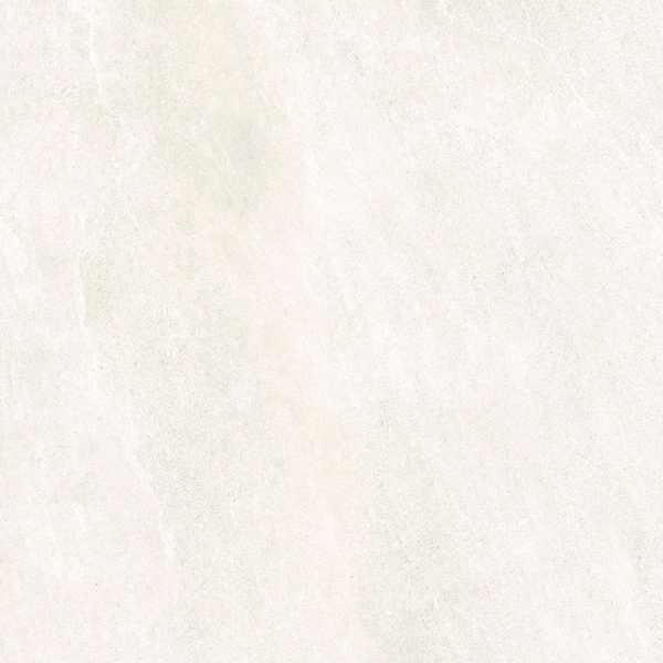 SCALLAIVORY.png