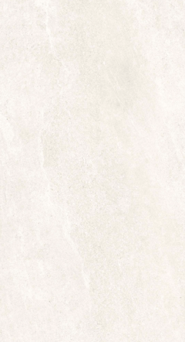SCALLAIVORY.png