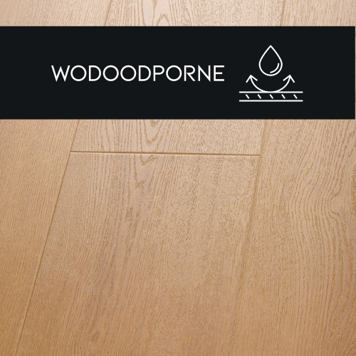 862c8797cc42afe07601e28e6c97ddbb