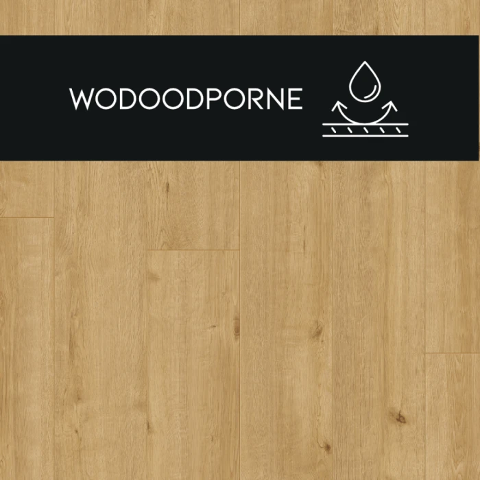 2535e3384c2076ff6f3715f70804efc2