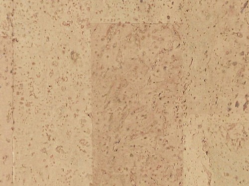 8fbdc0fa6161b4932f43cf8c9a2dd491