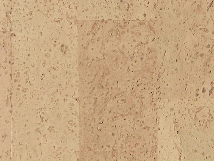 8fbdc0fa6161b4932f43cf8c9a2dd491