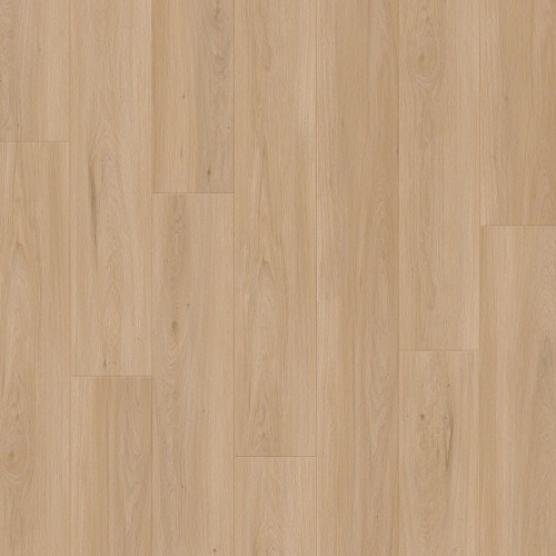 e2fc378789fd019a24df71338d36f737