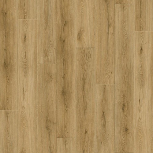 1c50d754e1fc11018b8acd219004823e