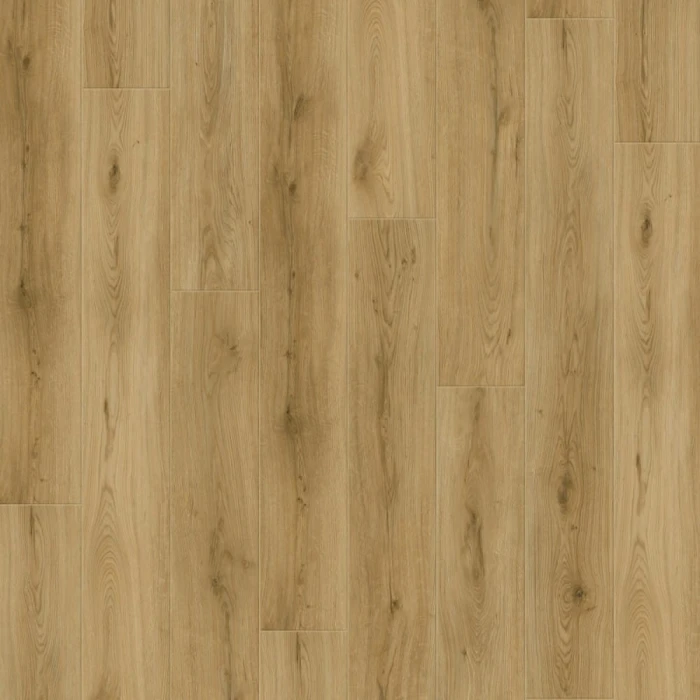 1c50d754e1fc11018b8acd219004823e