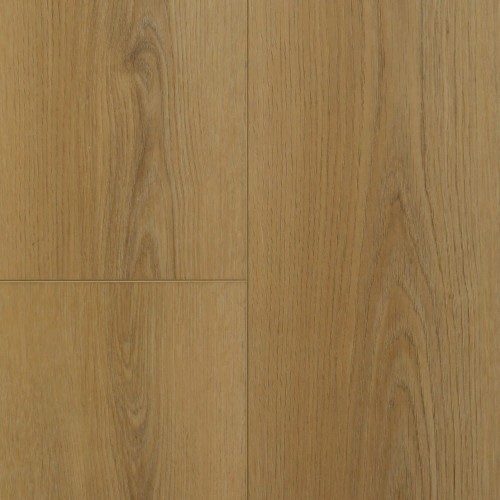 8fec6cddf76e57548353a28985dce7c7