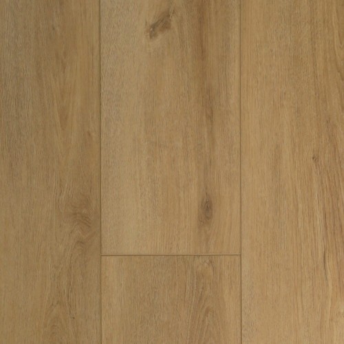 ae71f16629d935a30496a53ae440bb02