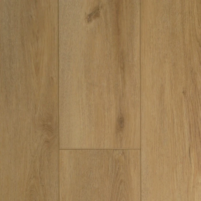 ae71f16629d935a30496a53ae440bb02