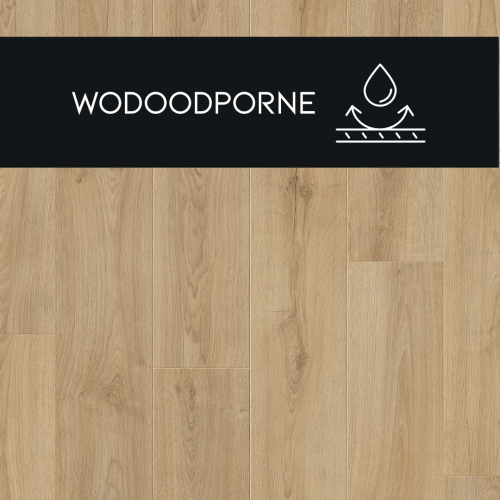 b4a9fc0ea36961061eaaddd810d6b160