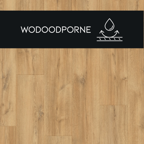 5a391e552a65d1e4ac19e202dbf764b0