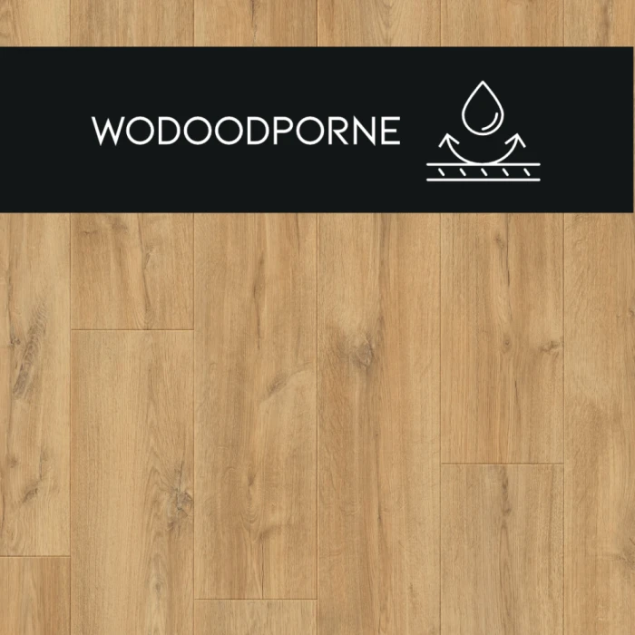 5a391e552a65d1e4ac19e202dbf764b0