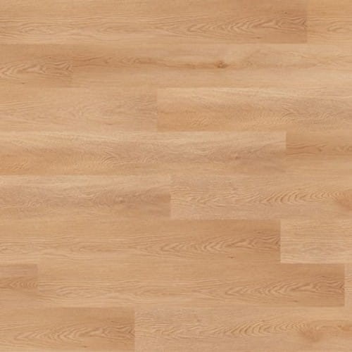 2499620395bcb89668fa1079e4343770