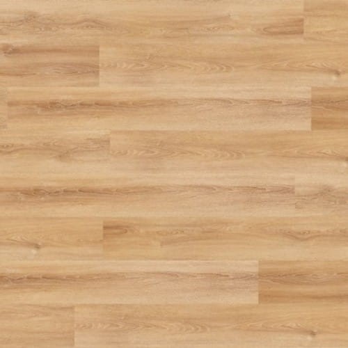 17d7f84347acf70ef686b016a87a6a67