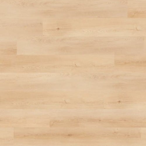 558305871e8fd3a85ff4a004173c2e87