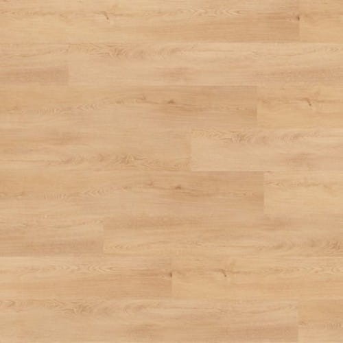 70fb9fb4d2c7922f78480c08950f8ac6