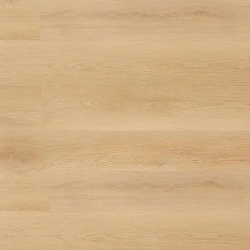 d774125271def0a312483c34701f4d9e