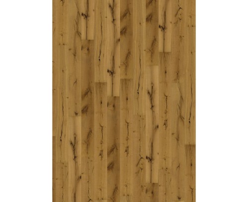 af7336a27fb62f316ce44bd81e90749d