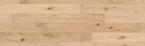 1f8e2106f30acf3067dbb19938fe701e